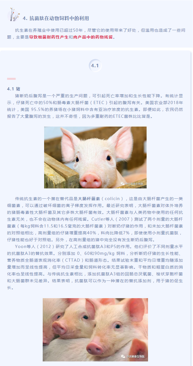 抗菌肽作為替抗飼料添加劑對動物生產(chǎn)、食品安全和公共衛(wèi)生影響的綜述（下）_01