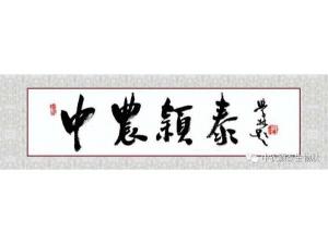 2021年：工作動態(tài)，中農穎泰工會順利換屆
